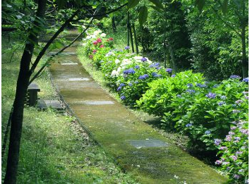 ロフォス湘南(神奈川県三浦郡葉山町/逗子駅/ホールスタッフ)_3